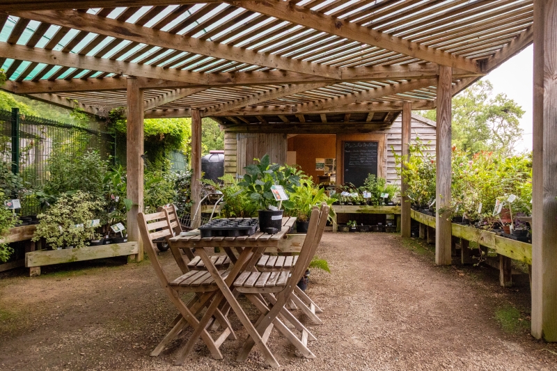 Long House Plants